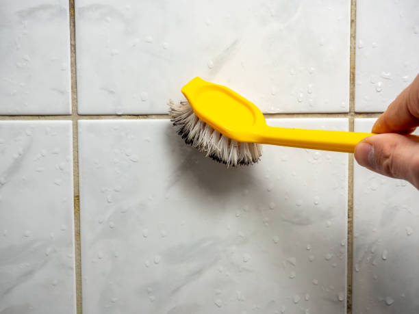 Best Fast Mold Removal  in San Gabriel, CA