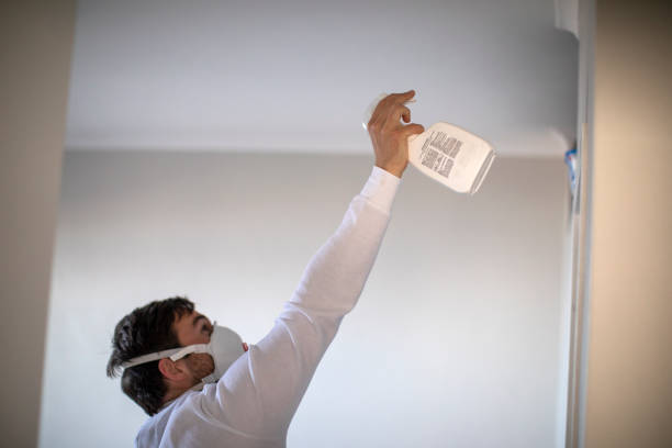 Best Home Mold Removal  in San Gabriel, CA